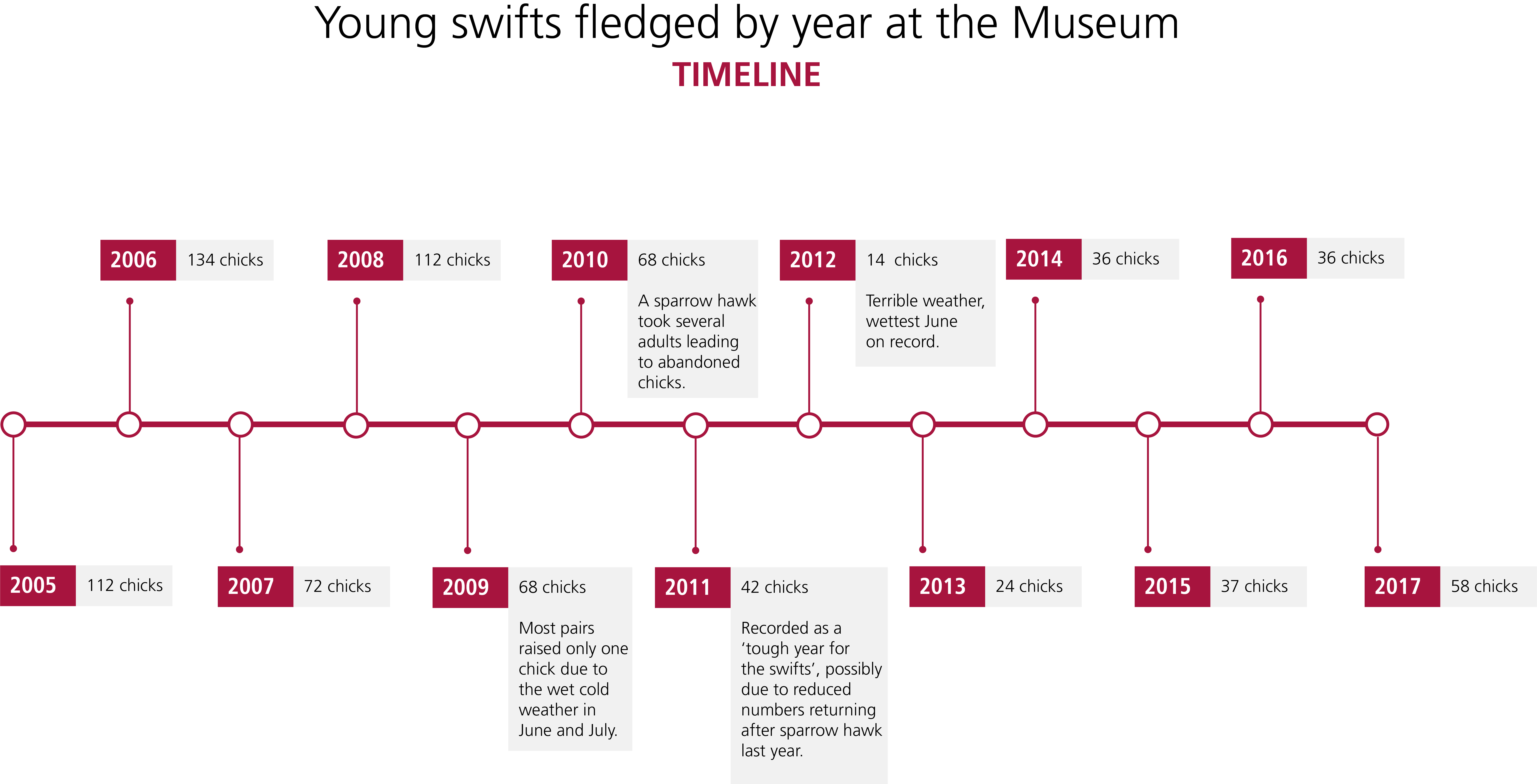 chicks by year