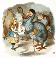 dodo alice