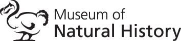 www.oumnh.ox.ac.uk