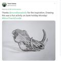 warthog skull