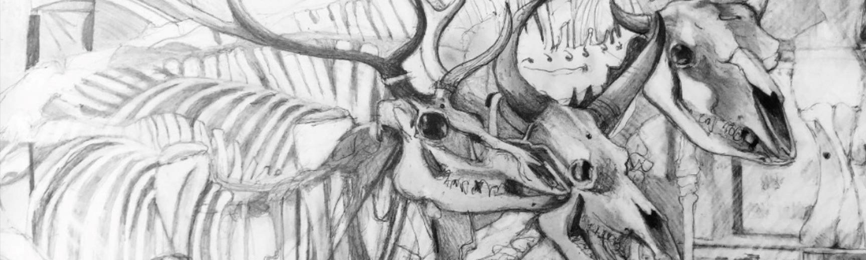 Skeleton parade by Grace Exley