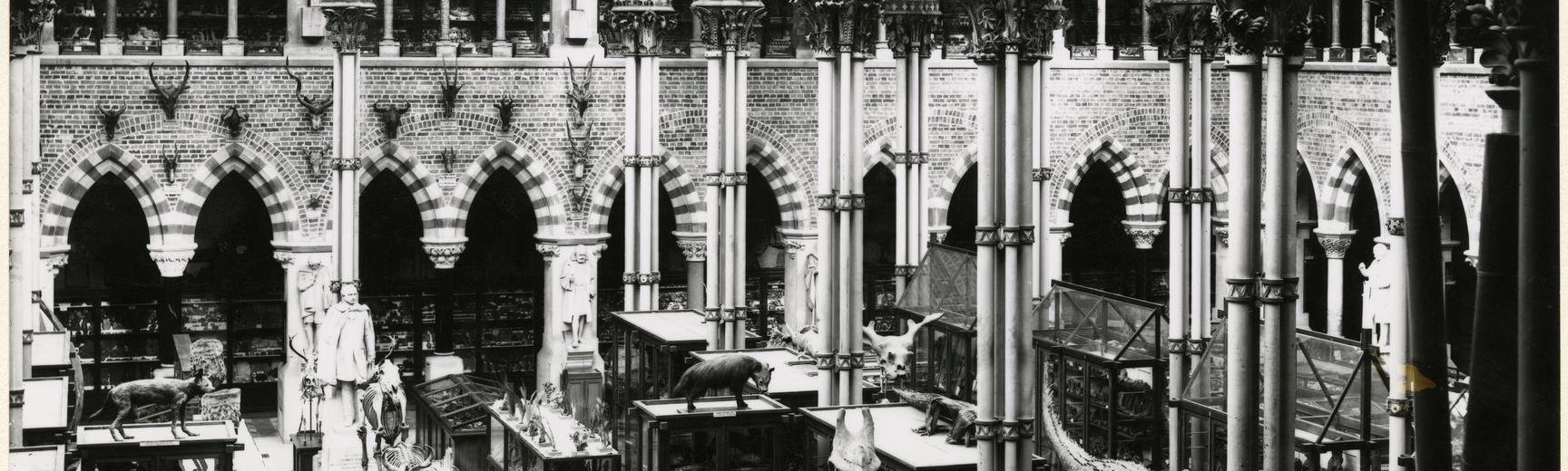 archive photograph of museum court 1890