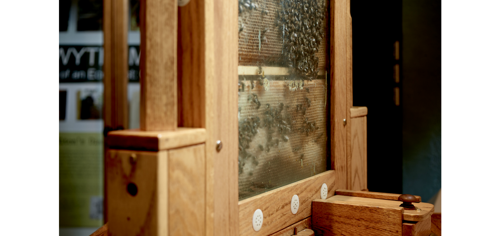 A side view of our hive, showing where the bees are fed from during the winter months