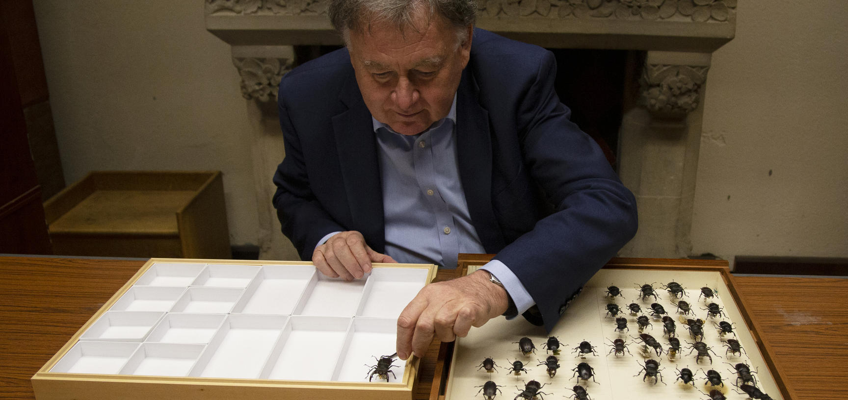 Image of Paul Smith with insects from the OUMNH collection