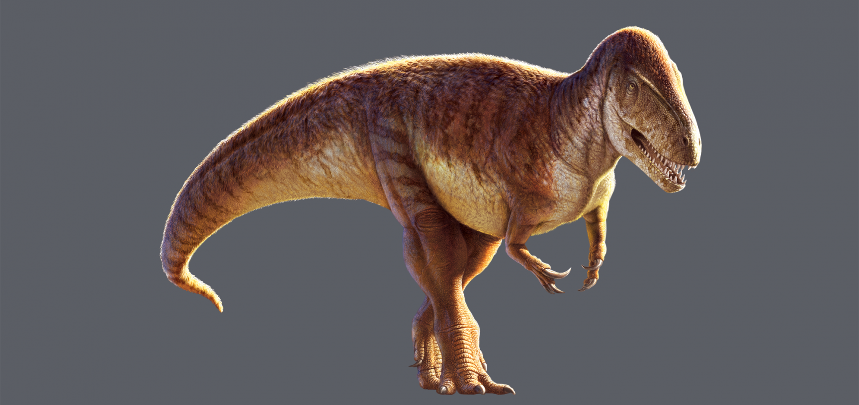 The Oxfordshire dinosaurs Oxford University Museum of Natural History