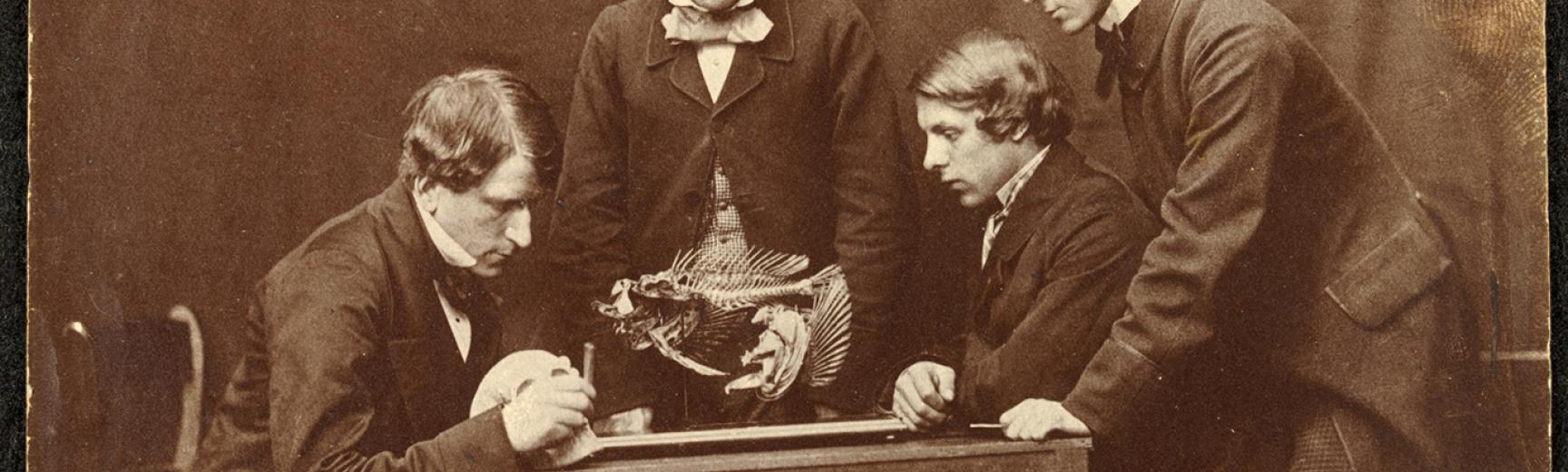 Victoria and Albert Museum, London