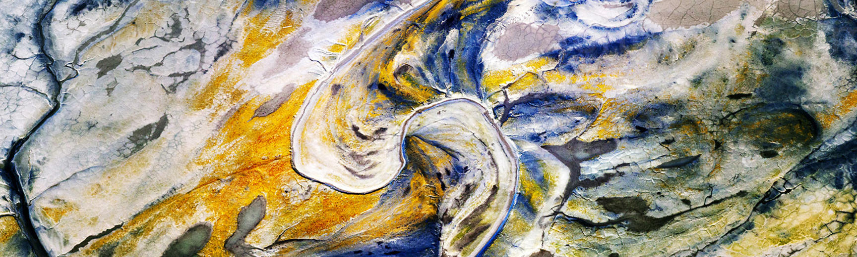 Taxonomy of a Cornish Foreshore by Kurt Jackson