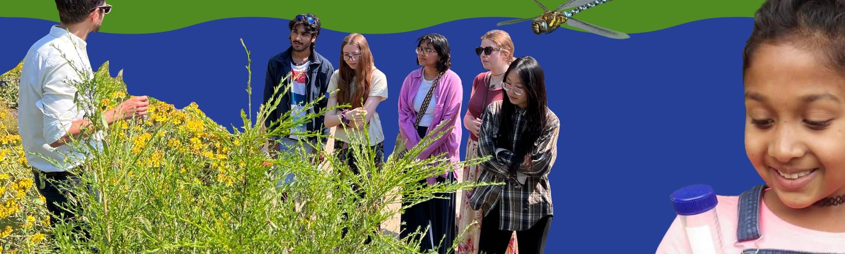 A young visitor looking at an insect and a group of visitors receiving a tour in the Botanic Garden among dragonflies