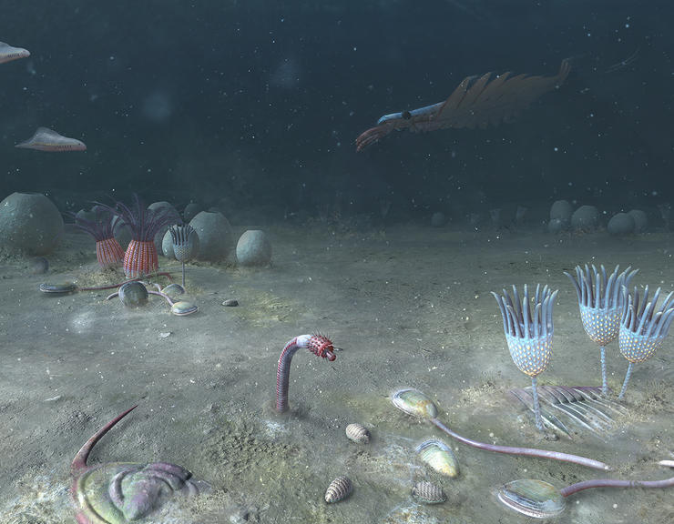 First Animals exhibition news release | Oxford University Museum of ...