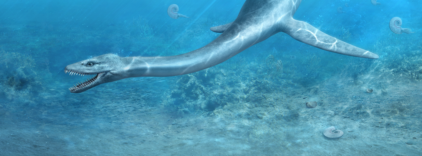 Plesiosaur