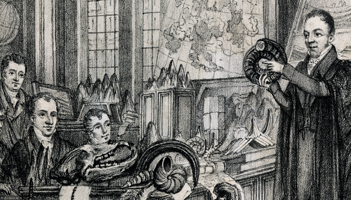 Curiosity & Colonialism Oxford University Museum of Natural History