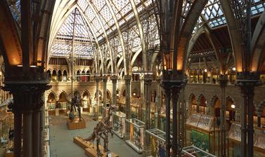 View of cathedral-like iron and glass court featuring two central dinosaur skeletons flanked by glass showcases