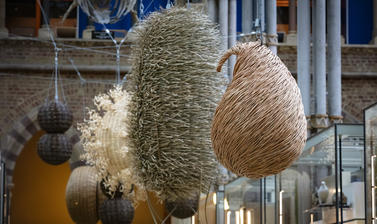 Museum gallery of glass showcases, iron and glass vaulted roof architecture and a series of willow sculptural forms