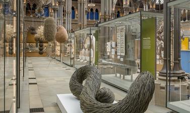 Museum gallery of glass showcases, iron and glass vaulted roof architecture and a series of willow sculptural forms
