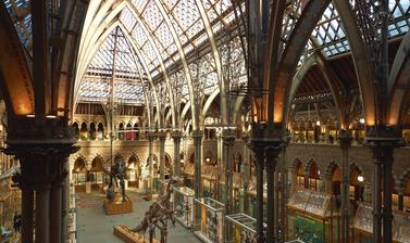 Main court Oxford University Museum of Natural History