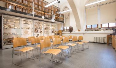 Seminar room Oxford University Museum of Natural History