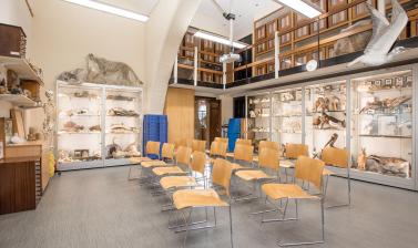 Seminar room Oxford University Museum of Natural History