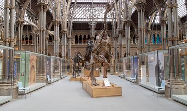 View of cathedral-like iron and glass court featuring two central dinosaur skeletons flanked by glass showcases