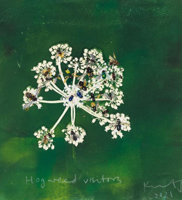 Visitors in the Hogweed, a painting by Kurt Jackson of bees in a hogweed plant.