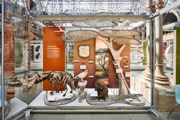Art of Communication display