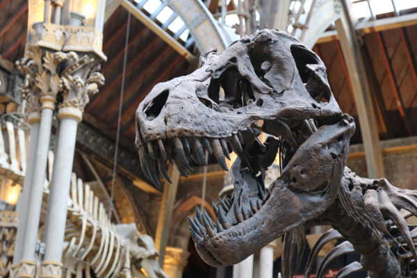 banner 2