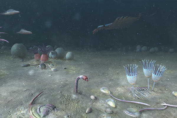 Cambrian ocean scene