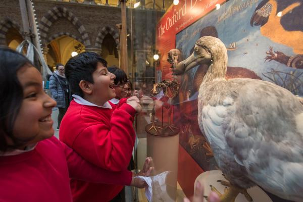 Primary school children learning about the Oxford Dodo