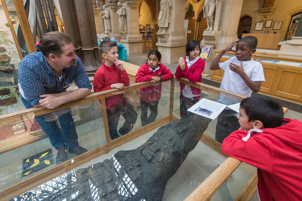 Primary school children learning