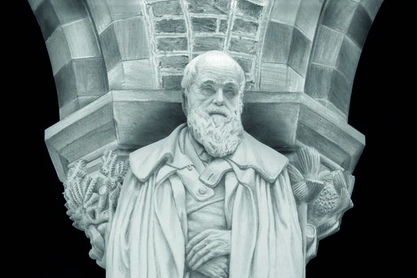 darwin by jack dempsey highly commended