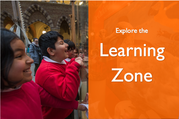 Explore the Learning Zone