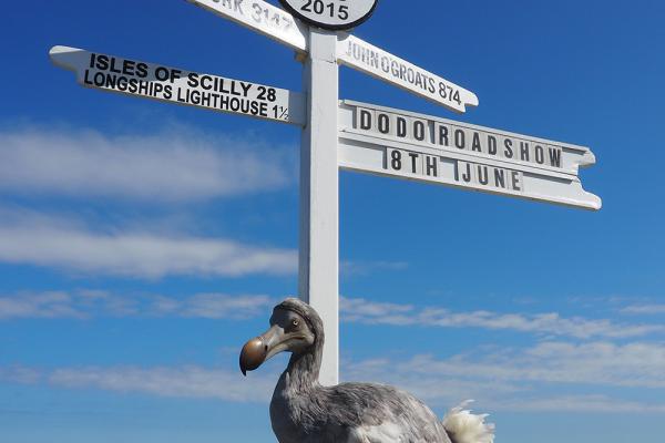 lrlands end for display