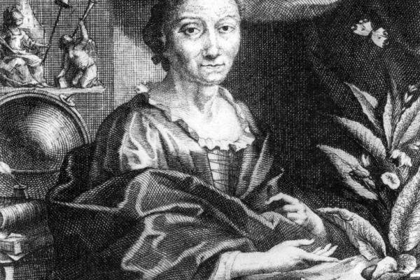 merian portrait