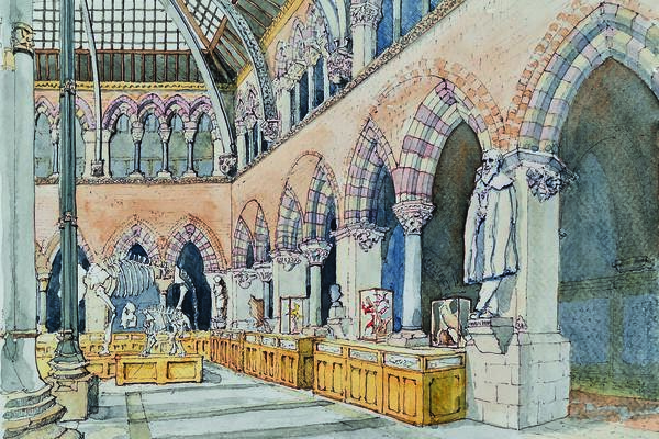 natural history museum oxford by paul tomlinson highly commended