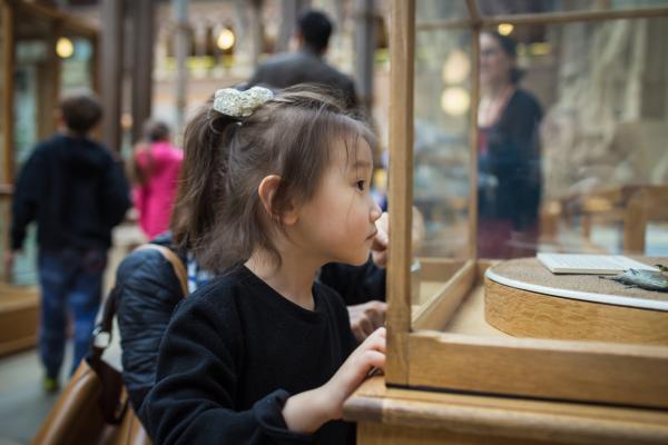 Child at the Oxford University Museum of Natural History