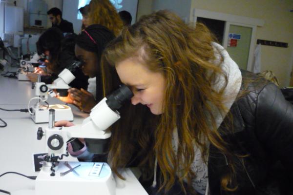 Students using the microscope at the Museum