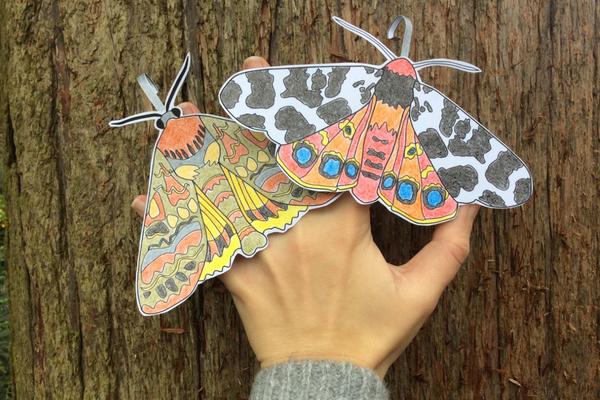 moth finger puppets