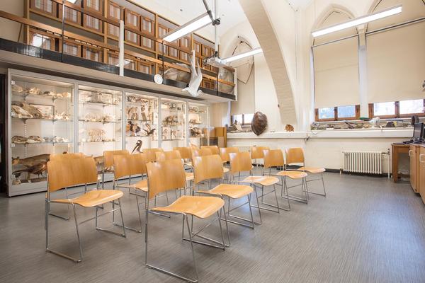 Seminar room Oxford University Museum of Natural History