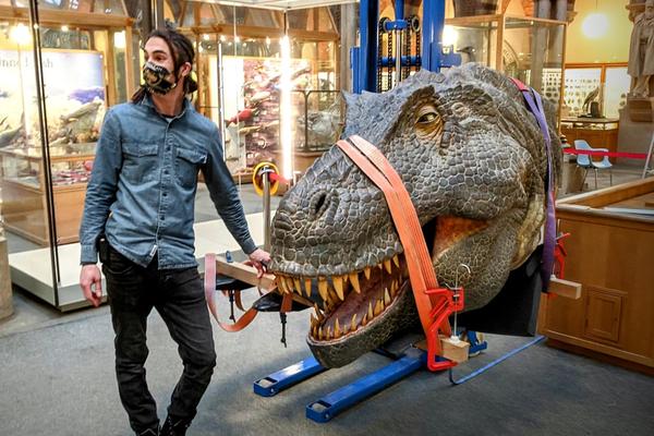 Ben standing in front of the T Rex head at the Museum