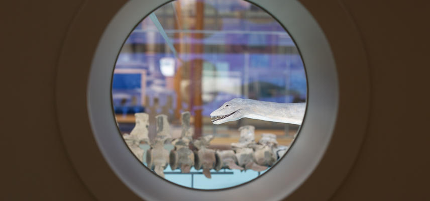 Portholes in the Out of the Deep display allow visitors to peer into the scale models and fossil skeletons