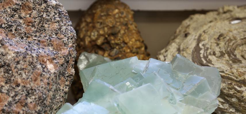 A selection of rocks and minerals housed in the seminar room