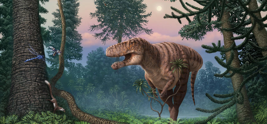 Illustration of Jurassic scene featuring theropod dinosaur in centre, pterosaurs above, fern foliage surround