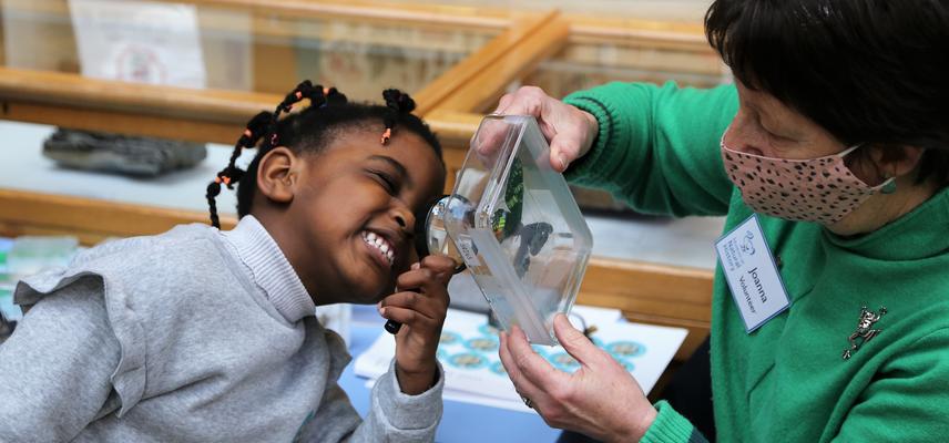 A young girl looks at an insect with a magnifying glass