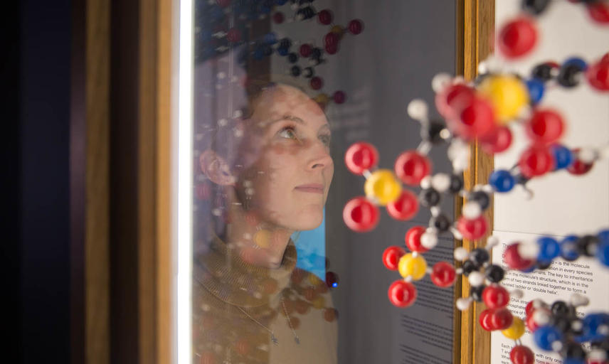 Exhibition in the Upper Gallery Museum of Natural History in Oxford