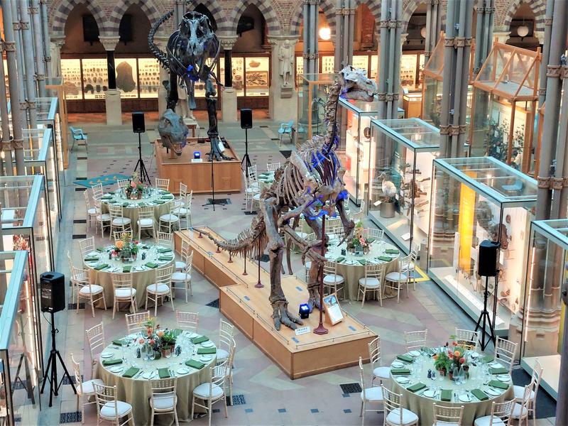 Main Court of Museum set up with tables and chairs for a dinner event