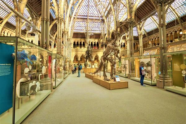 The Main Court of the Museum as seen from the main entrance including an Iguanodon skeleton and rows of cases