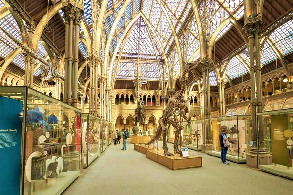 The Main Court of the Museum as seen from the main entrance including an Iguanodon skeleton and rows of cases