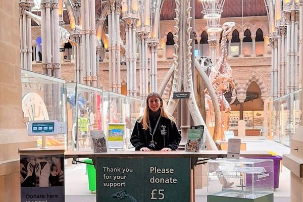 The Welcome desk of the Museum which is a wooden desk with a member of staff standing behind.