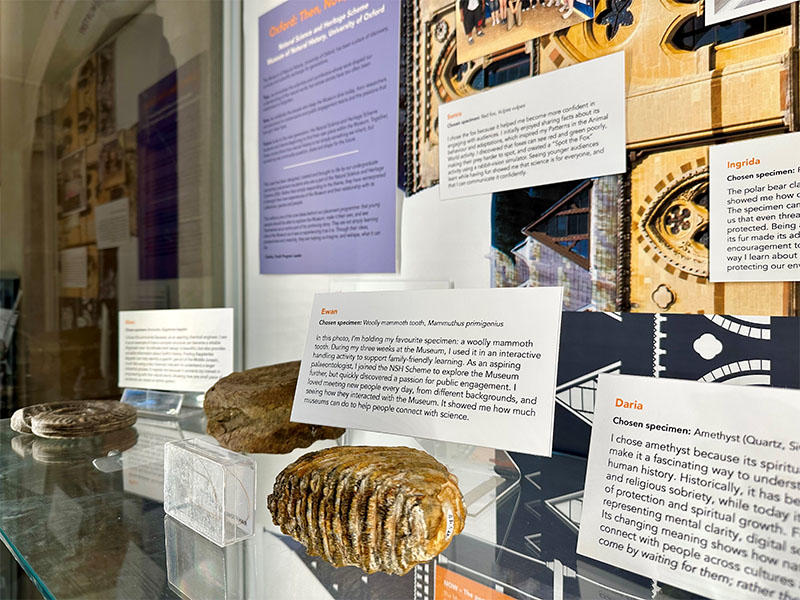 Specimens and labels: Close-up of a museum display shelf containing fossil and mineral specimens, including a woolly mammoth tooth in the foreground, surrounded by interpretation cards written by contributors to the Oxford Then, Now, Future exhibition.