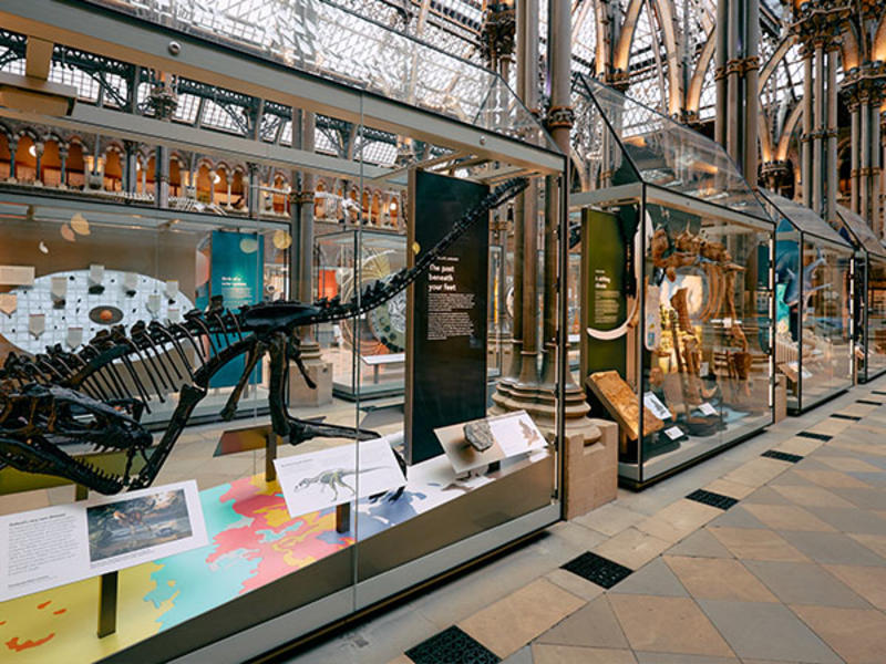 View of the Museum's main court with the Eustreptospondylus case in the foreground 