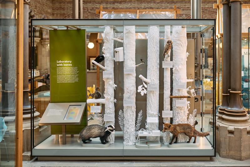 Lab with Leaves display